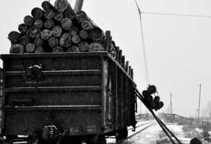 再見了電動絞盤！你是林業工人的好伙伴